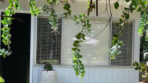 Un edificio con ventanas grandes, una maceta con planta identificada como '45b Lilly Pilly', y un acceso con adoquines de ladrillo.