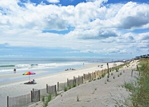 Playa en los alrededores 