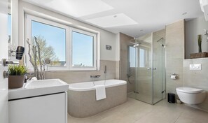 Shower, hair dryer, towels