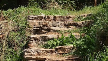 Casa, varias camas | Áreas de la propiedad