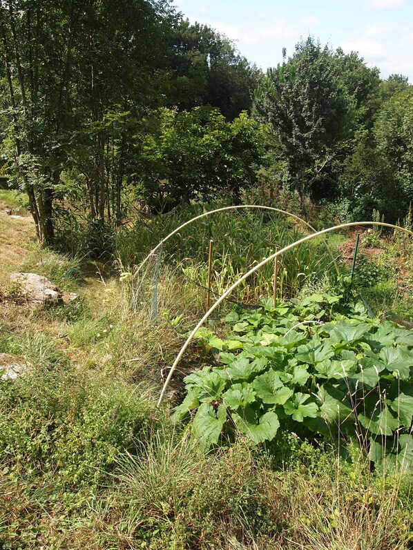 House, Multiple Beds | Property grounds