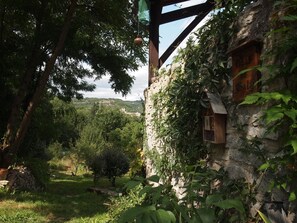 Property grounds - Rural Peace and Tranquility (Saujac)