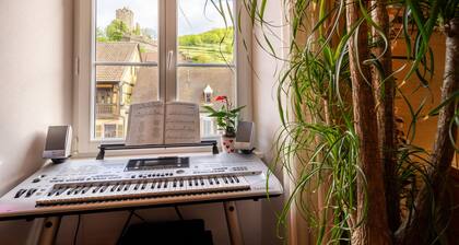 Meublé de tourisme ****, historic center kaysersberg