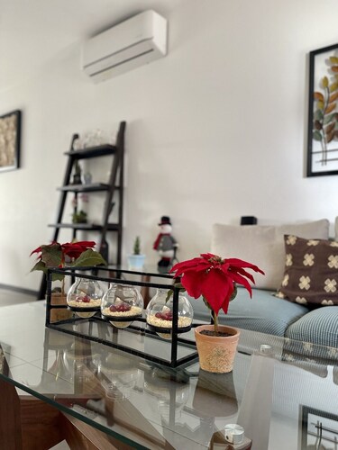 Casita Tlaquepaque VIP Cameras de Seguridad 24