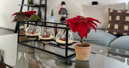 Casita Tlaquepaque VIP Cameras de Seguridad 24