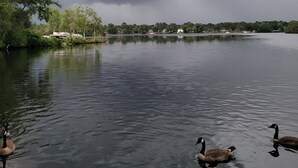 A calm lake with ducks swimming, surrounded by trees and buildings in the background. - 15 minutes from Base (Pemberton)