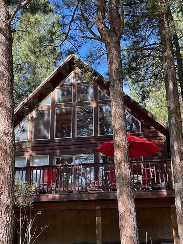 Nestled in the pines on 2 acres, secluded, close-to-nature house. Pet-Friendly!