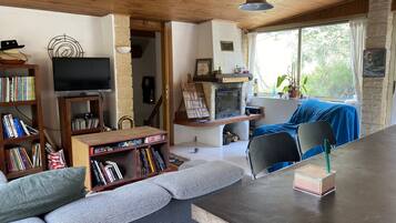 Télévision, cheminée, livres