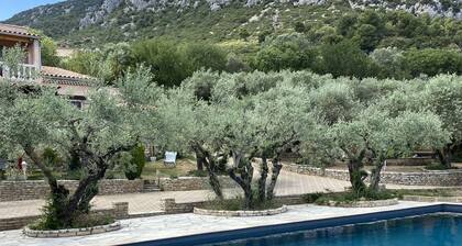 Maison avec accÚs piscine, jardin et terrasse indépendants, cheminée . Lumineux