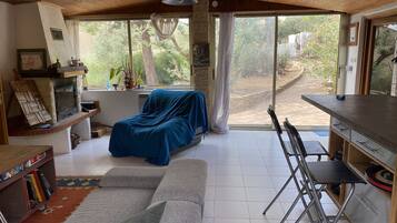 Télévision, cheminée, livres