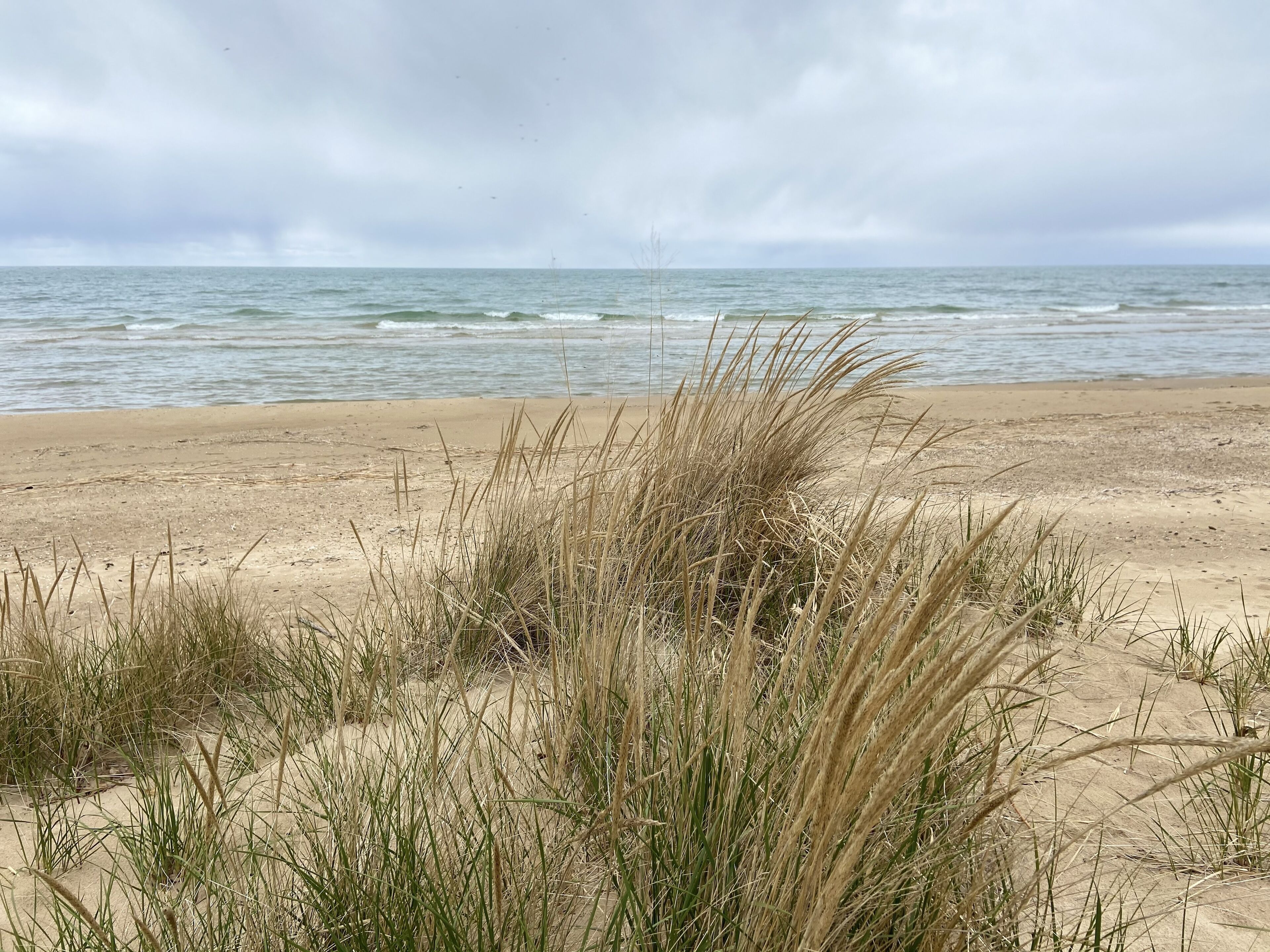 A beach with sand and grass in the foreground, and the sea in the background.