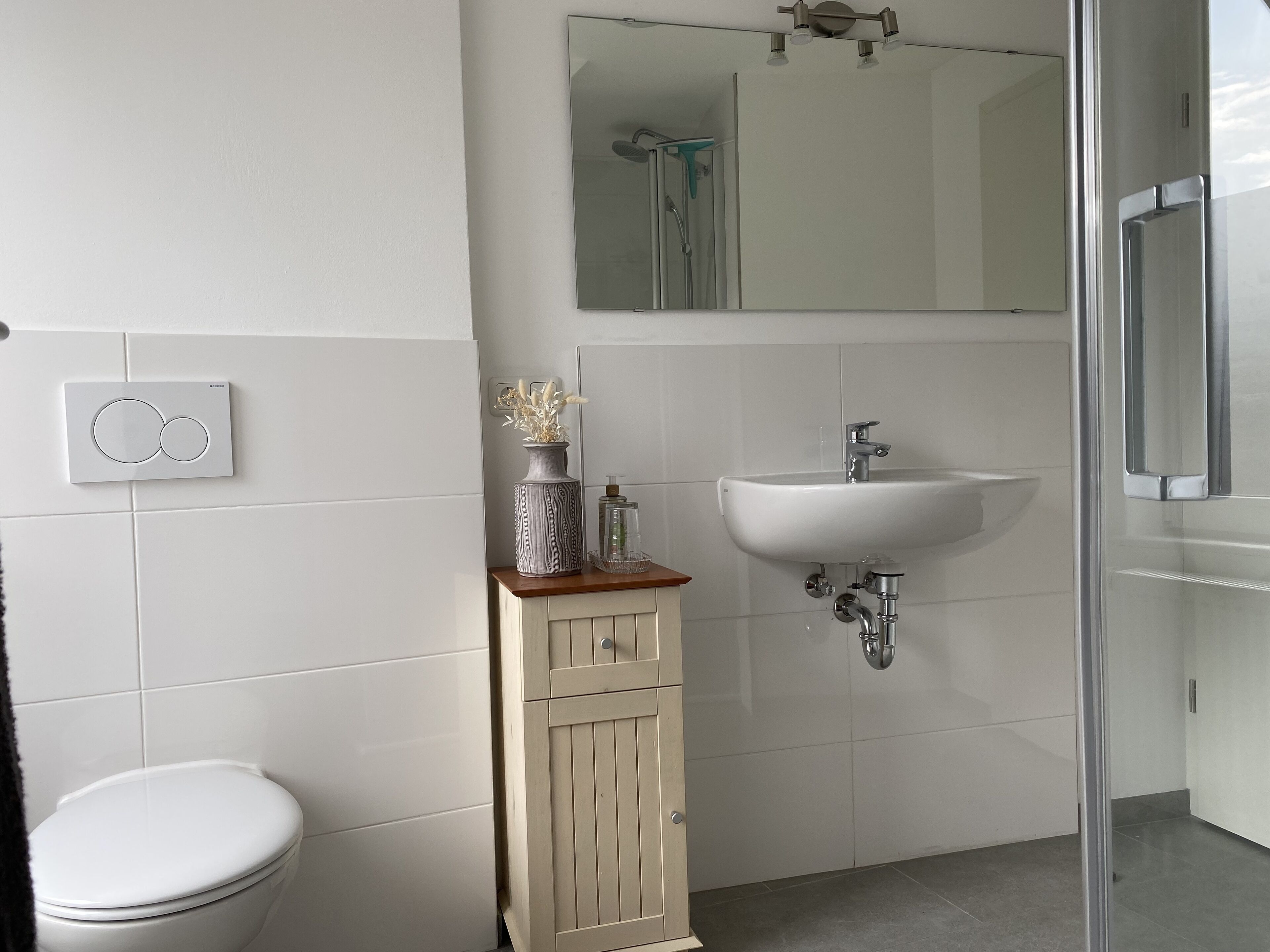 A bathroom with a toilet, a sink, a mirror, and a shower.