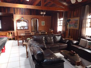 TV, fireplace, ping pong