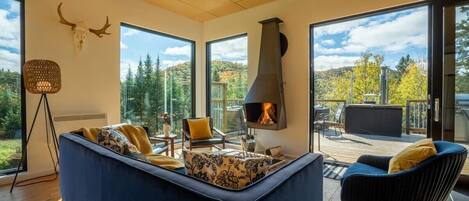 TV, fireplace, books, offices