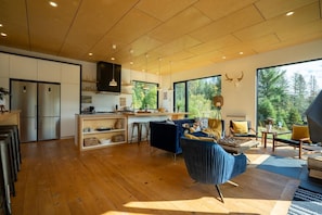 TV, fireplace, books, offices