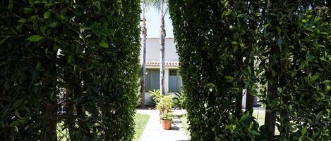 Terrein van de accommodatie