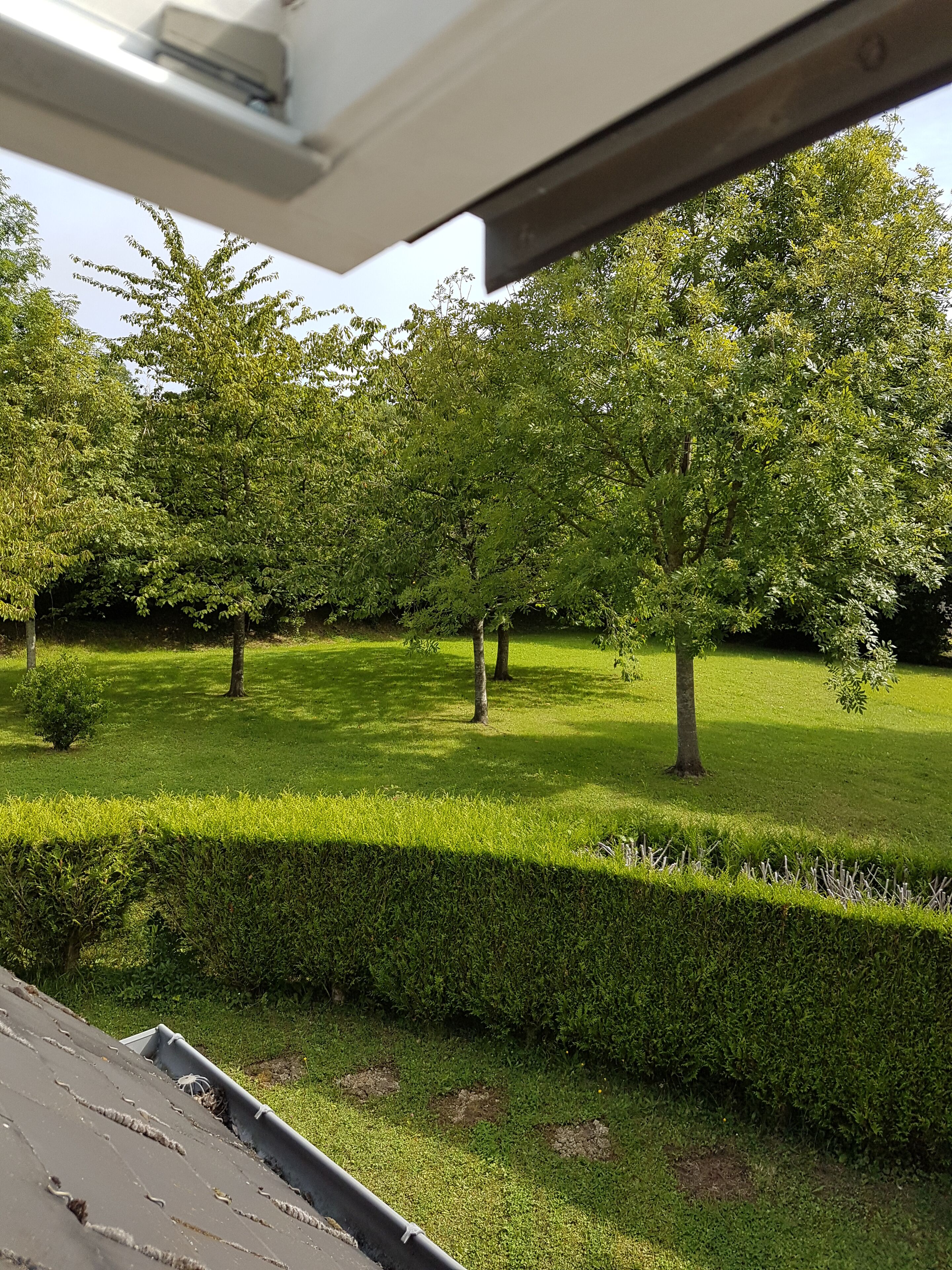 Un jardin bien entretenu, avec des haies soigneusement taillées et une grande variété d’arbres.