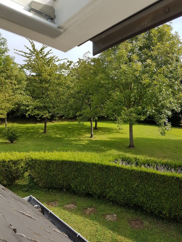 Un giardino curato con siepi ordinate e diverse specie di alberi.