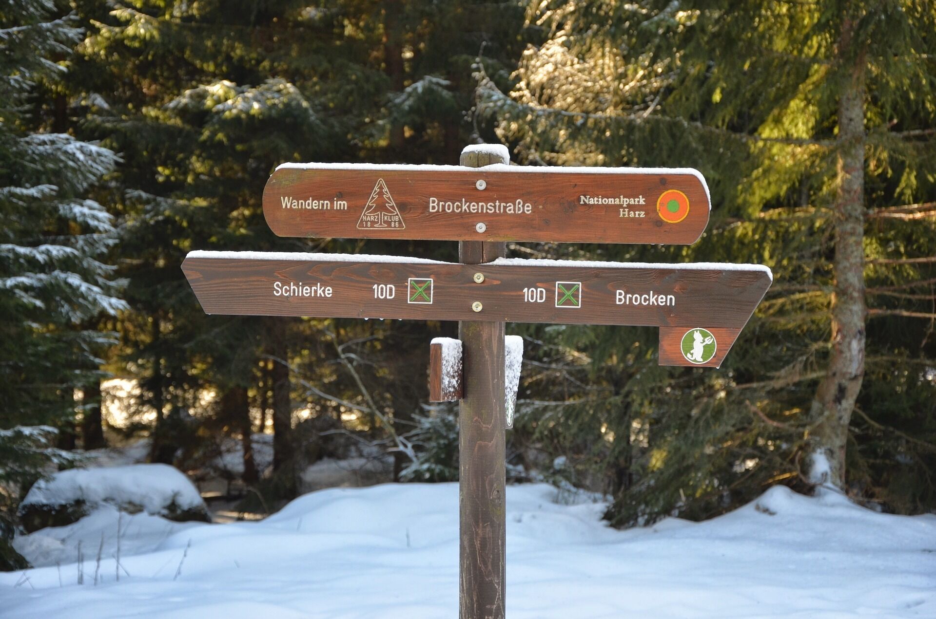 A wooden directional signpost in a snowy forest.