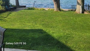 A grassy area with trees and a view of the water.