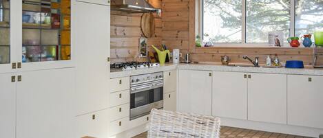 Fridge, stovetop, dishwasher, coffee/tea maker