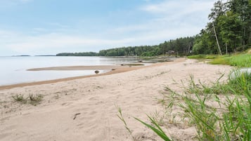 Vlak bij het strand, vissen