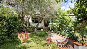 A garden pathway leading to a house with a staircase and a large potted plant with pink flowers. - Gorgeous apartment in Castiglioncello with WiFi (Castiglioncello)