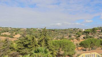 Vista desde la propiedad