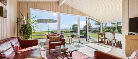 تلفزيون، مدفأة