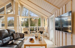 Télévision, cheminée