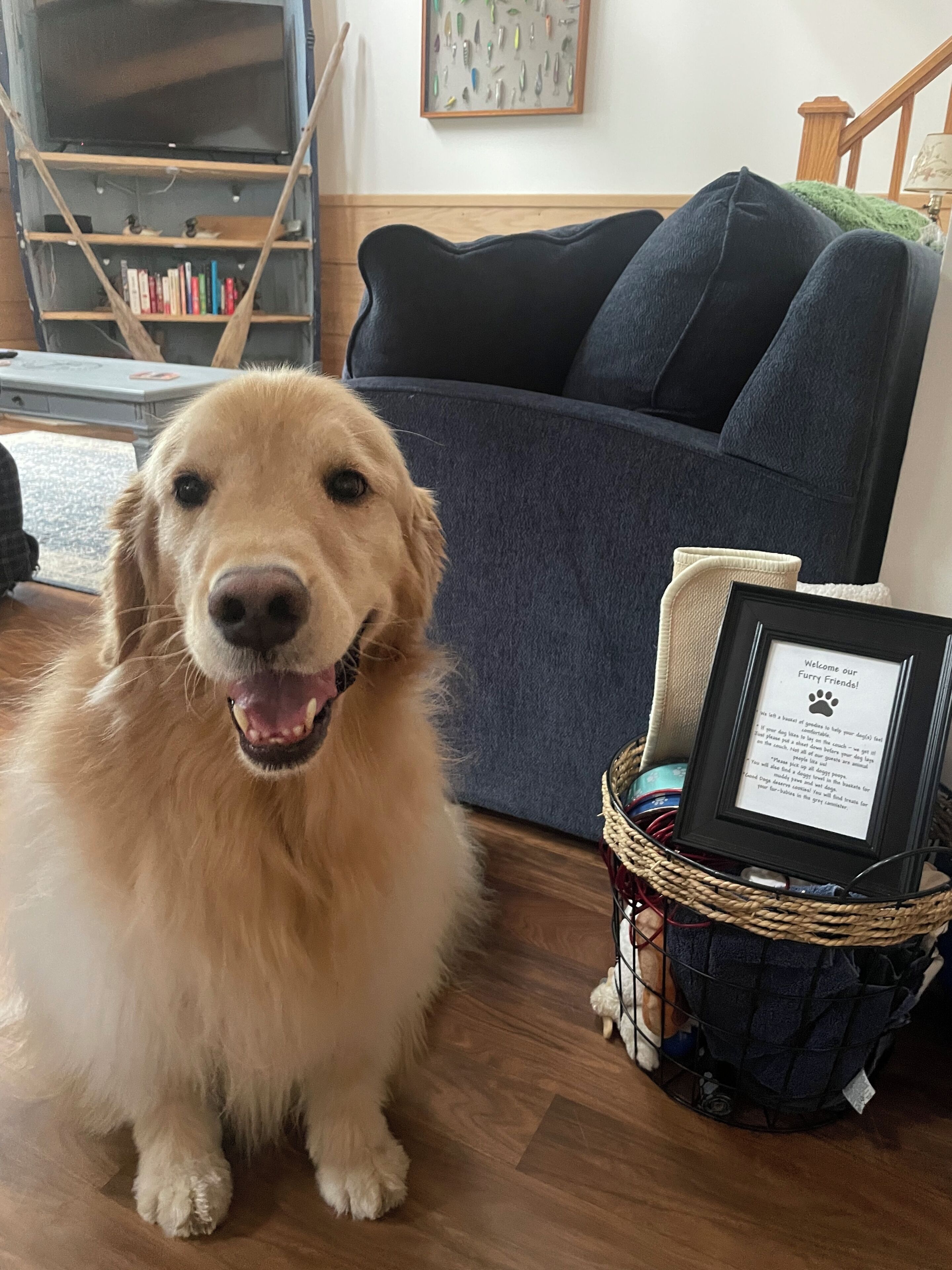 A golden retriever sitting on a wooden floor with a framed sign in a basket nearby.