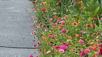 Área da propriedade