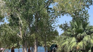 A park with trees, a playground, and a body of water. - Cozy 2 bedroom Cottage by the River  (Ehrenberg)