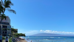Une plage avec une promenade en pierre, des palmiers et un bâtiment doté de balcons.