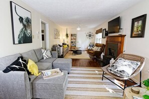 TV connectée, cheminée, livres, chaîne hi-fi