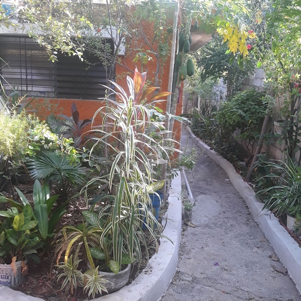 Property grounds