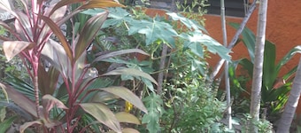 Discover Haitian culture thtough House in the garden!Best place to stay for enjoying the Haitian visual art.