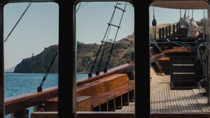 Une vue depuis une fenêtre d'un navire, montrant un pont en bois, un canot de sauvetage et une côte montagneuse.