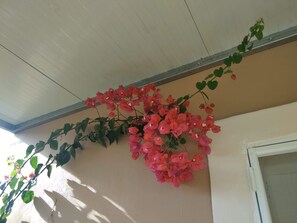 Een plafond met een houten balk en een wand met een plant.