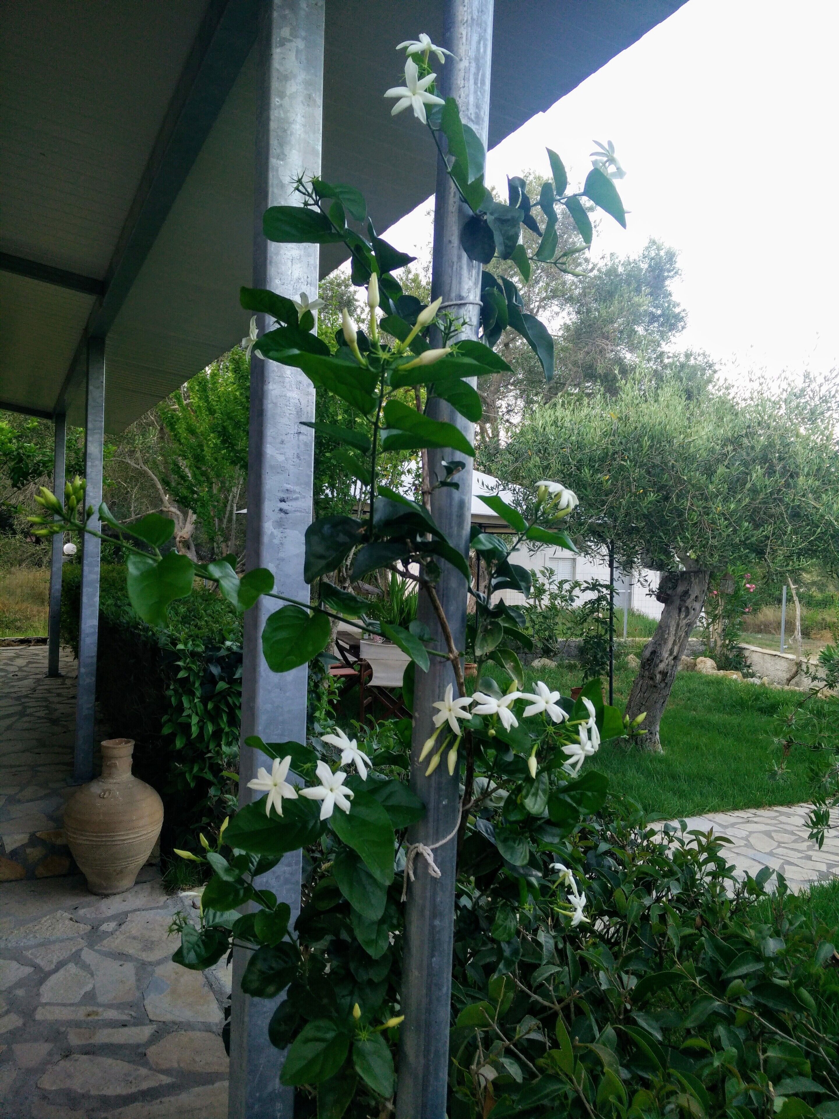 單棟房屋, 3 間臥室, 吸煙房, 壁爐 | 住宿地面