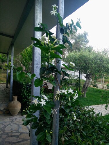 Villa Lou Corfu - Kalivioti Beach