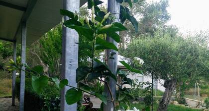 Villa Lou Corfu - Kalivioti Beach