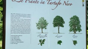 Exterior - Appartamento Roero Cottage 3 (Alba)