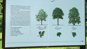Ein Schild mit den Namen von Baumarten und ihren wissenschaftlichen Bezeichnungen.