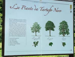 Un cartel con los nombres de especies de árboles y sus nombres científicos.