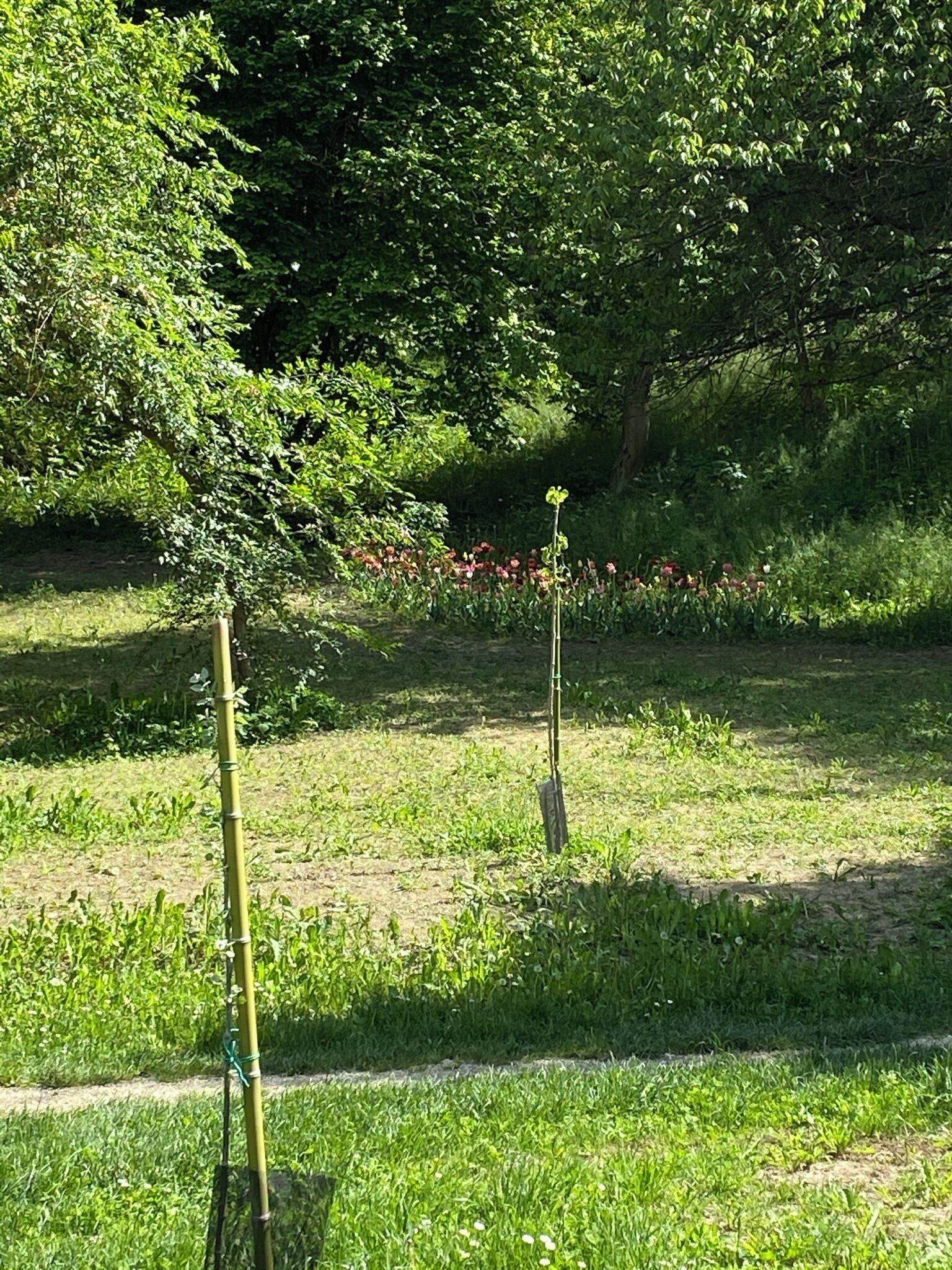 Apartment, 1 Bedroom, Accessible, Smoking | Garden