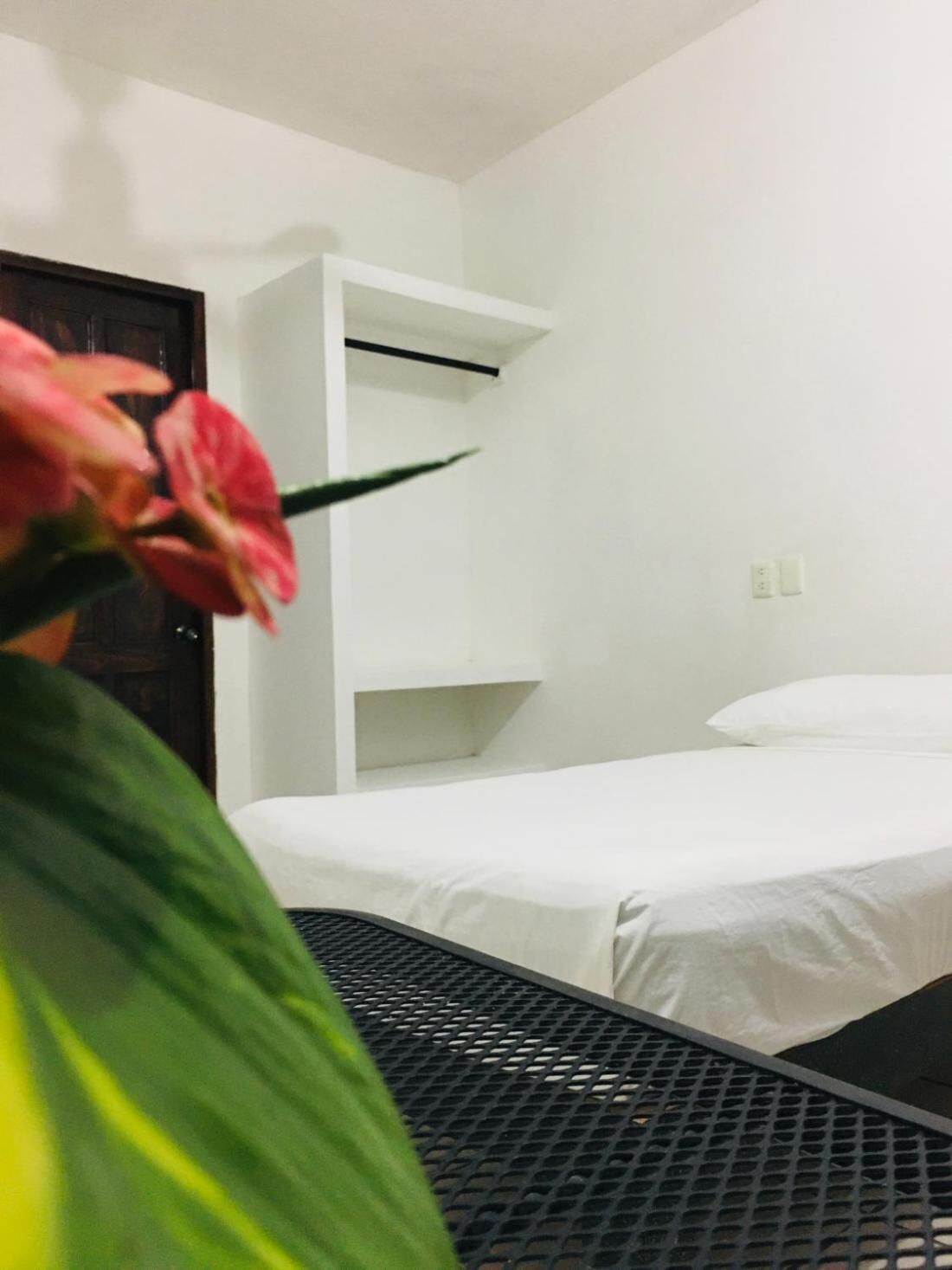 Photo - Standard room with two single beds for relaxed stay