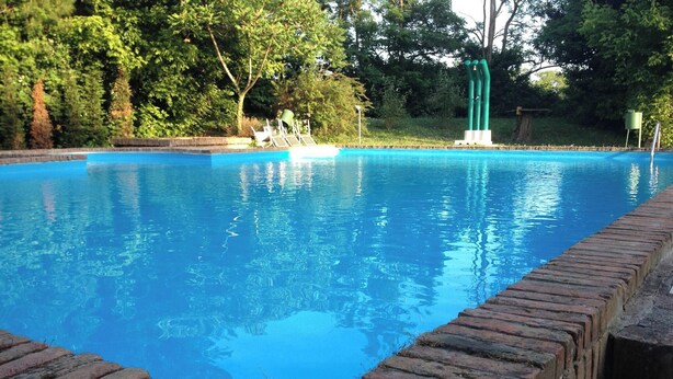 A rectangular swimming pool with a brick edge, surrounded by trees and greenery. - Beautiful and Quiet Villa In Residence In The Po Delta Oasis (Porto Viro)