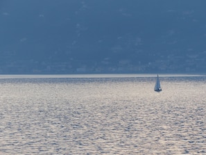 Ein Segelboot auf ruhigem Wasser mit einer fernen Küstenlinie.