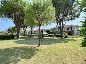 المنطقة المحيطة بالمنشأة